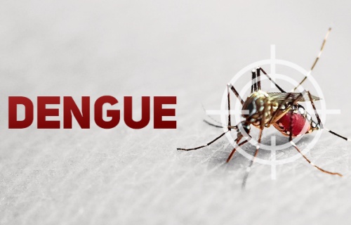 Hospital Regional Alto Vale no registra casos graves de dengue no primeiro trimestre
